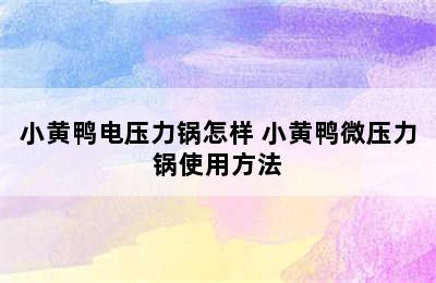 小黄鸭电压力锅怎样 小黄鸭微压力锅使用方法